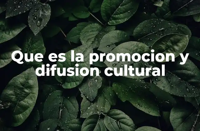 Que es la Promocion y Difusion Cultural