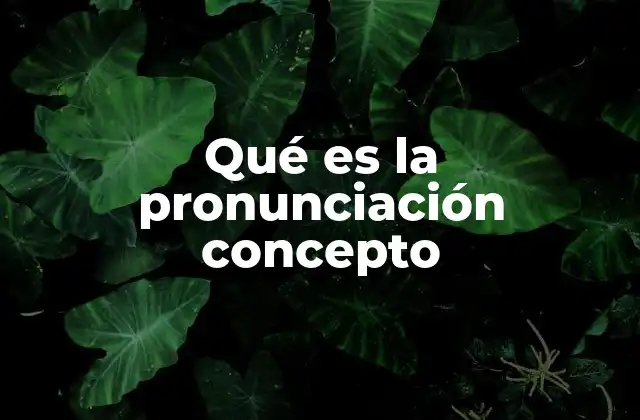 Qué es la Pronunciación Concepto 2 El rol de la pronunciación en la comunicación humana