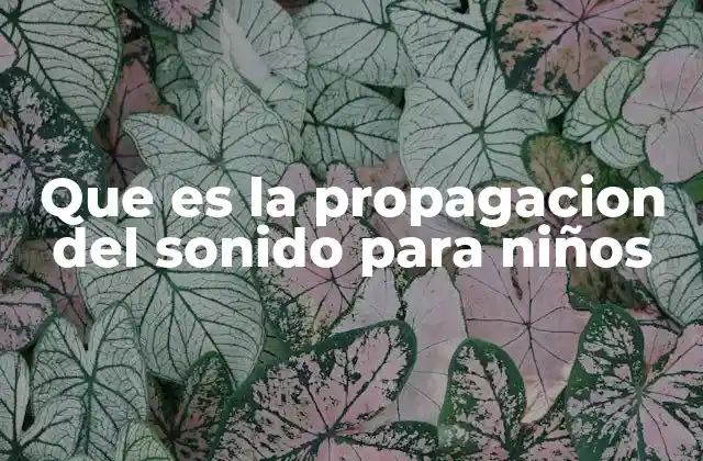 Cómo los sonidos llegan a nuestros oídos