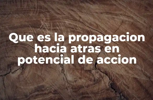 Que es la Propagacion hacia Atras en Potencial de Accion