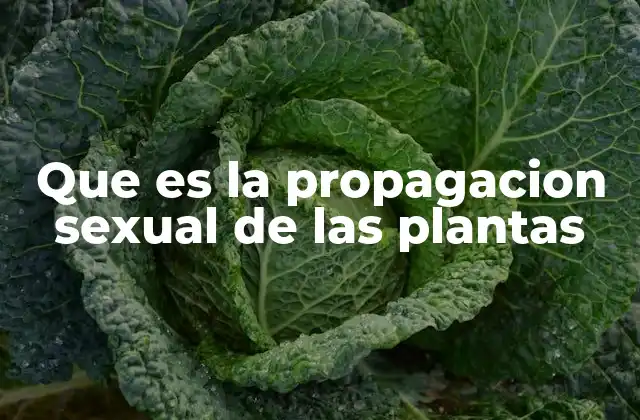 Cómo funciona el proceso reproductivo en las plantas con flores