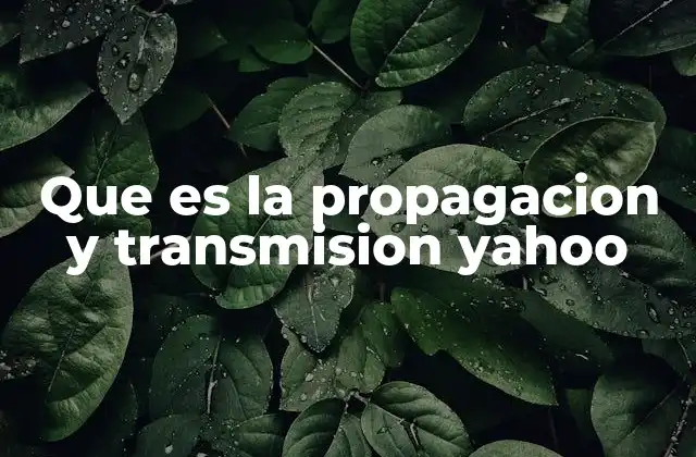 Que es la Propagacion y Transmision Yahoo