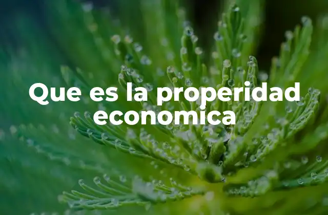 Que es la Properidad Economica