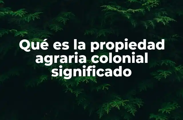 Qué es la Propiedad Agraria Colonial Significado
