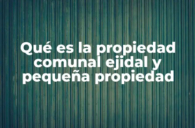Qué es la Propiedad Comunal Ejidal y Pequeña Propiedad