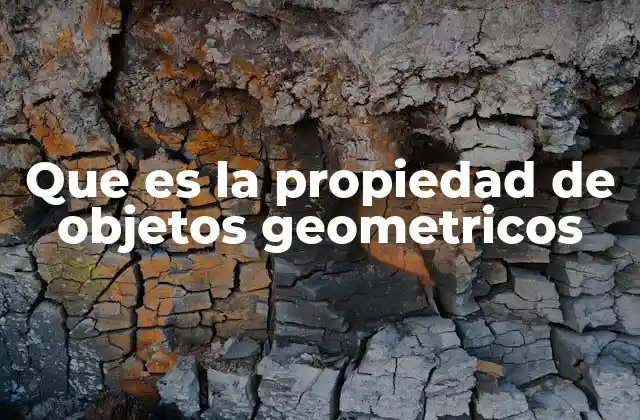 Que es la Propiedad de Objetos Geometricos