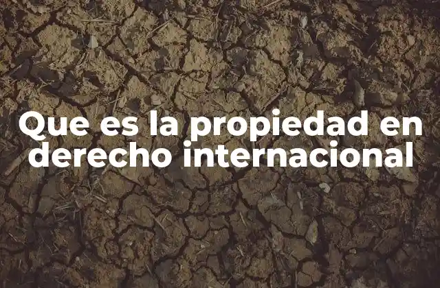 Que es la Propiedad en Derecho Internacional