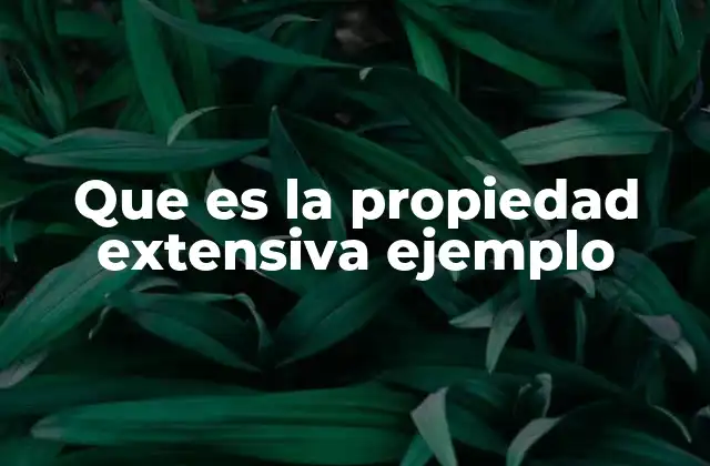 Que es la Propiedad Extensiva Ejemplo 2 Características de las propiedades extensivas