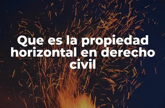 El régimen jurídico de los inmuebles compartidos
