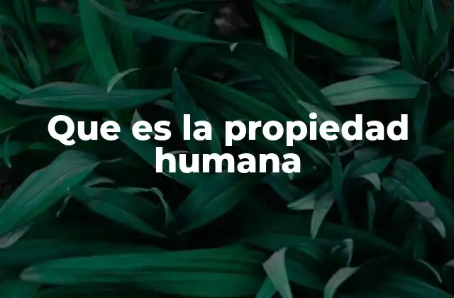 Que es la Propiedad Humana