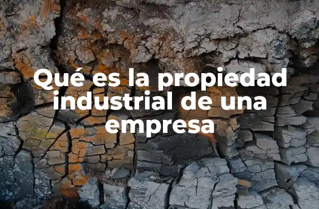 Qué es la Propiedad Industrial de una Empresa