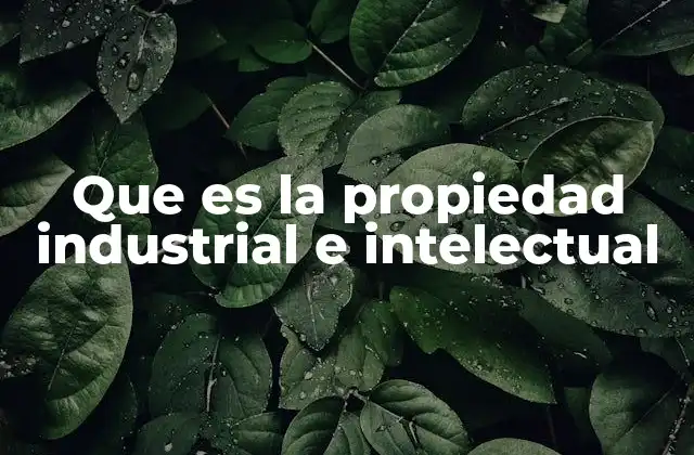 Que es la Propiedad Industrial e Intelectual 2 El rol de la propiedad intelectual en la innovación