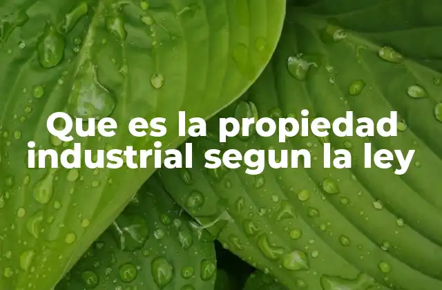 La importancia de la protección legal de las creaciones industriales