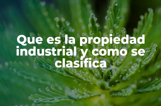 Que es la Propiedad Industrial y como Se Clasifica