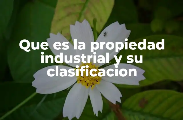Que es la Propiedad Industrial y Su Clasificacion