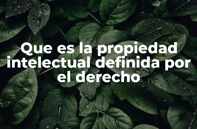 Que es la Propiedad Intelectual Definida por el Derecho
