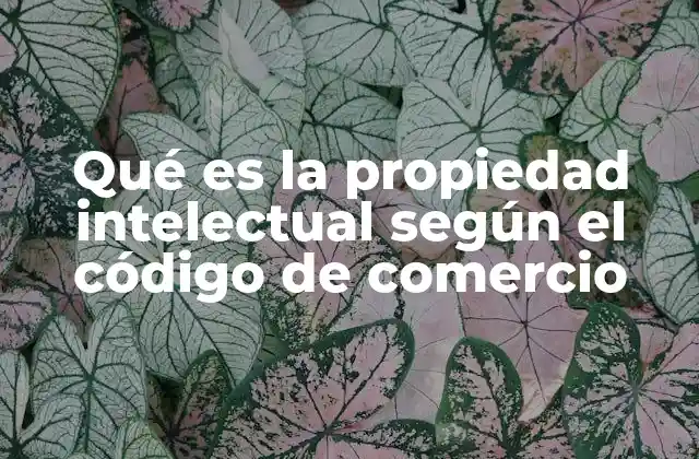 Qué es la Propiedad Intelectual según el Código de Comercio