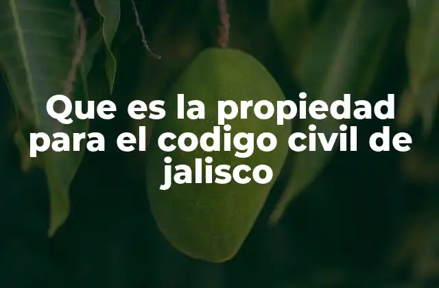 Que es la Propiedad para el Codigo Civil de Jalisco