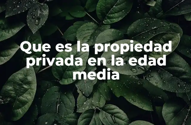 Que es la Propiedad Privada en la Edad Media