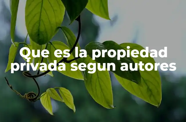 Que es la Propiedad Privada Segun Autores