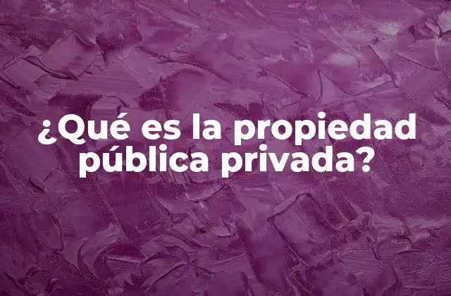 ¿qué es la Propiedad Pública Privada?