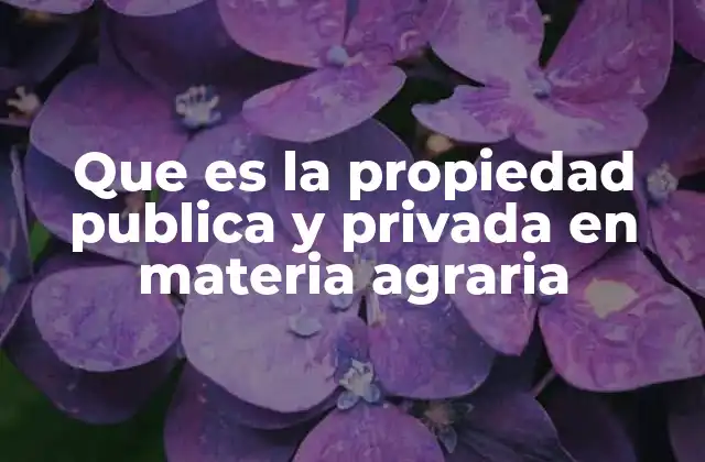 Que es la Propiedad Publica y Privada en Materia Agraria