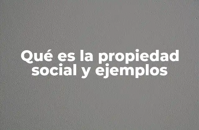 Qué es la Propiedad Social y Ejemplos