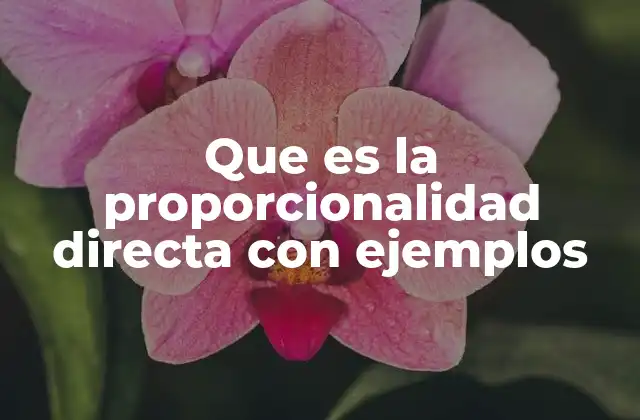 Que es la Proporcionalidad Directa con Ejemplos