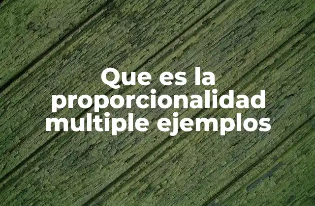 Que es la Proporcionalidad Multiple Ejemplos