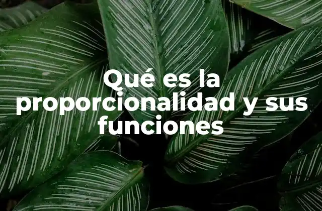 Qué es la Proporcionalidad y Sus Funciones 2 La importancia de las relaciones entre magnitudes en matemáticas