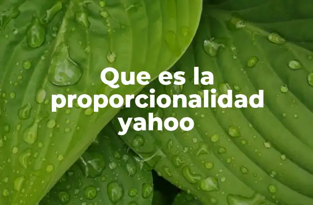 Que es la Proporcionalidad Yahoo
