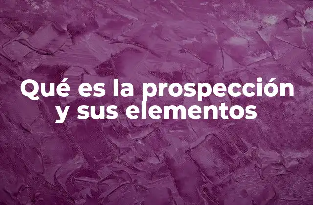 Qué es la Prospección y Sus Elementos