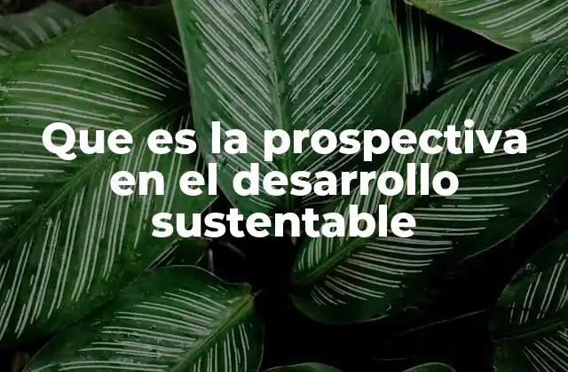 El papel de la prospectiva en la toma de decisiones estratégicas