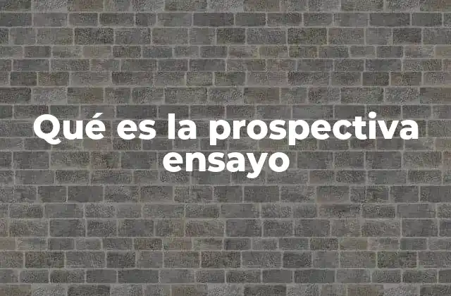 Qué es la Prospectiva Ensayo
