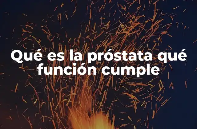 Qué es la Próstata Qué Función Cumple