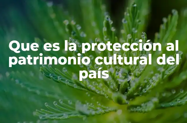 Que es la Protección Al Patrimonio Cultural Del País