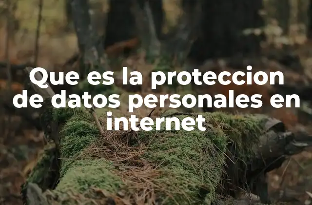 Que es la Proteccion de Datos Personales en Internet 2 La importancia de la seguridad en la era de la digitalización