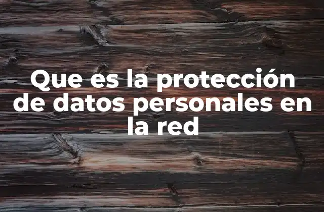 Que es la Protección de Datos Personales en la Red