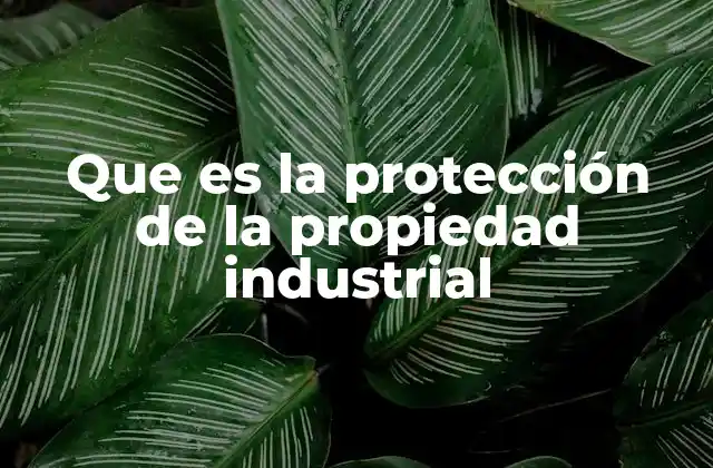 Que es la Protección de la Propiedad Industrial