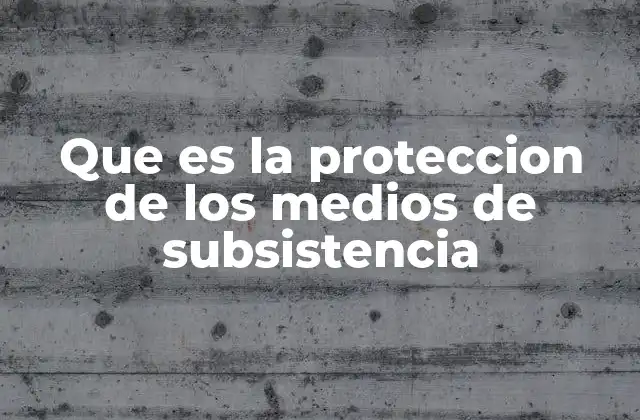 Que es la Proteccion de los Medios de Subsistencia