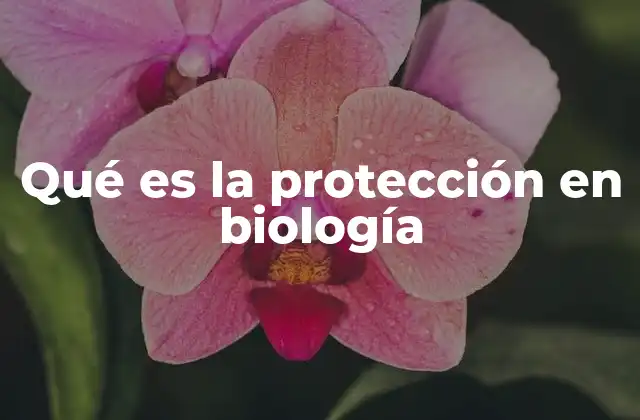 Qué es la Protección en Biología