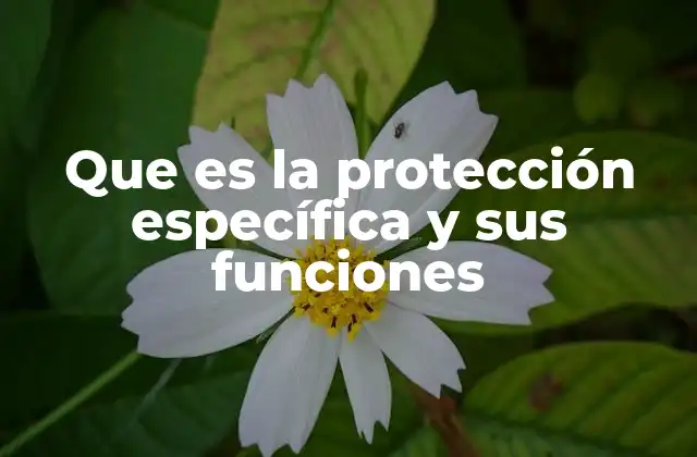 Que es la Protección Específica y Sus Funciones