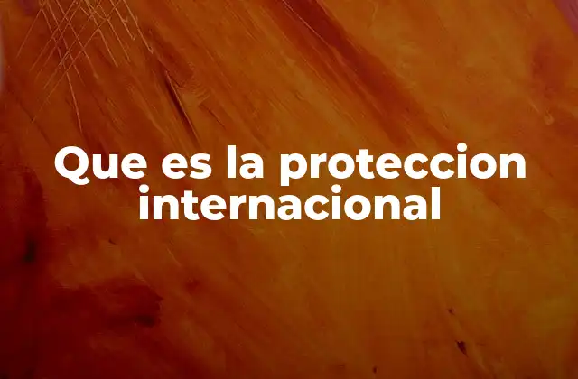 Que es la Proteccion Internacional