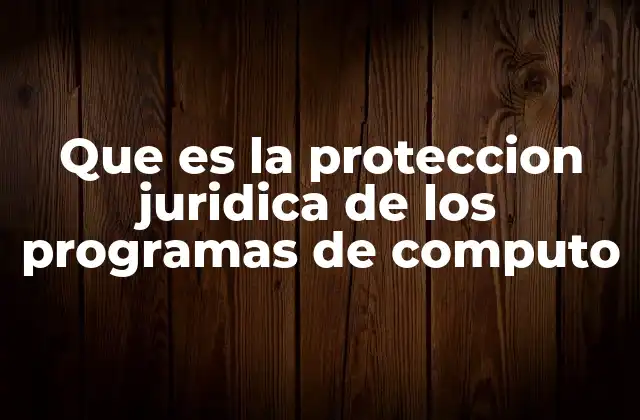 Que es la Proteccion Juridica de los Programas de Computo