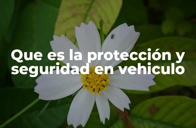 Que es la Protección y Seguridad en Vehiculo