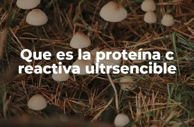 Que es la Proteína C Reactiva Ultrsencible 2 La importancia de detectar inflamación crónica en la salud