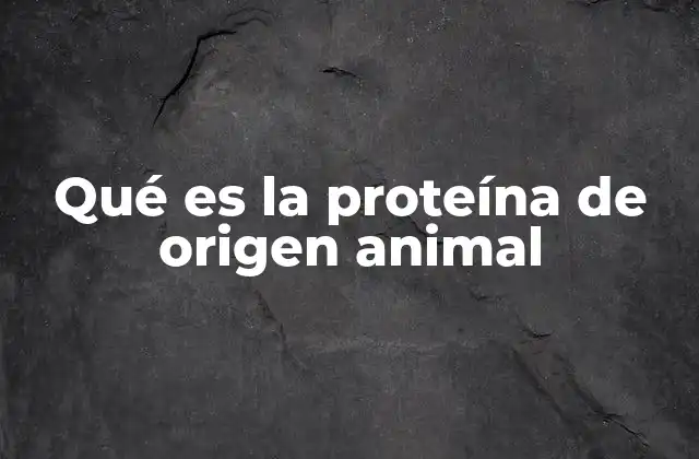 Qué es la Proteína de Origen Animal