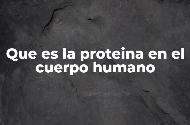 Que es la Proteina en el Cuerpo Humano
