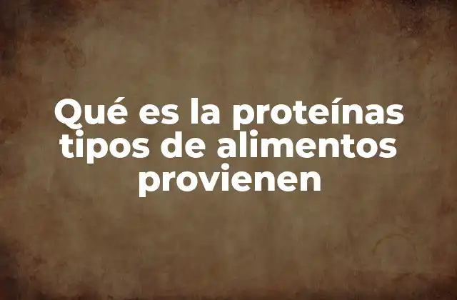 Qué es la Proteínas Tipos de Alimentos Provienen