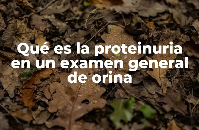 Qué es la Proteinuria en un Examen General de Orina